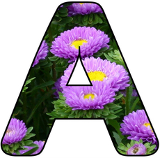 Blumenbuchstabe-A.jpg